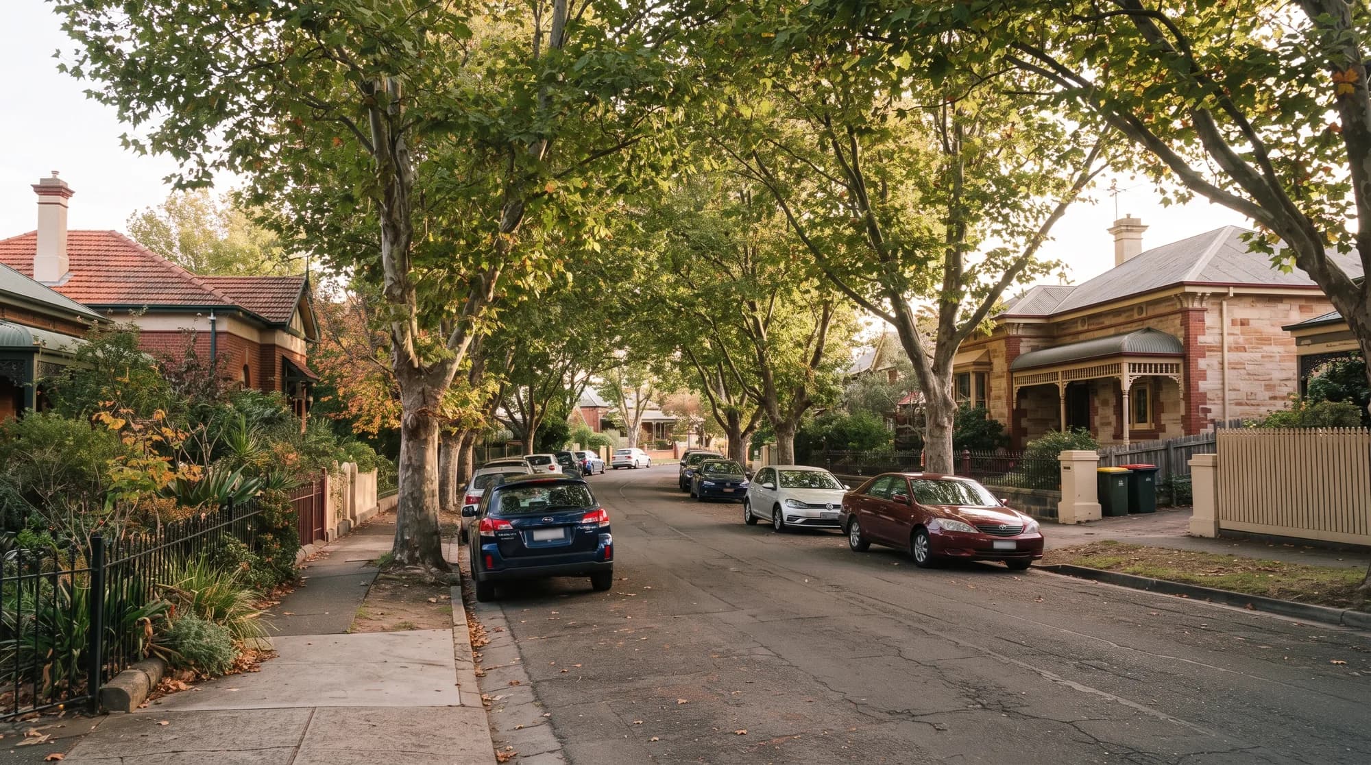 Tree-lined residential street in Adelaide's inner south with heritage homes and narrow footpaths